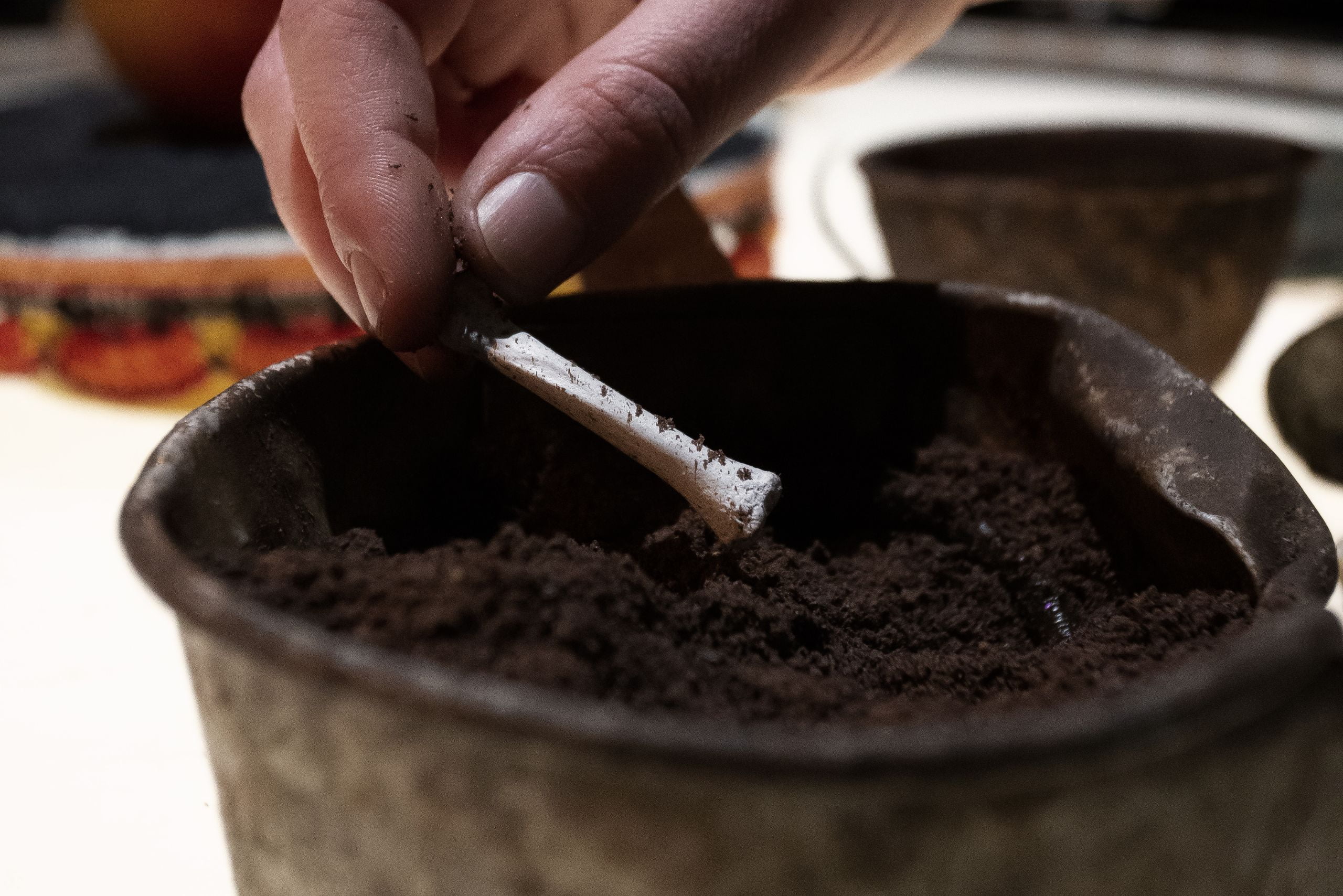 En gros plan, une main gratte avec un petit os dans un pot de terre